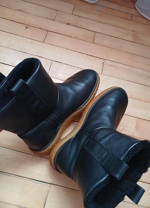 Зимові черевики  ecco crepetray w 5
