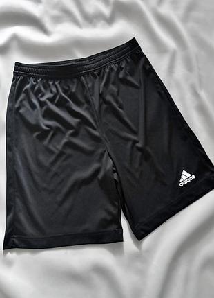 Трикотажні спортивні шорти adidas