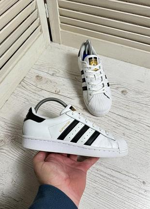 Кросівки adidas superstar