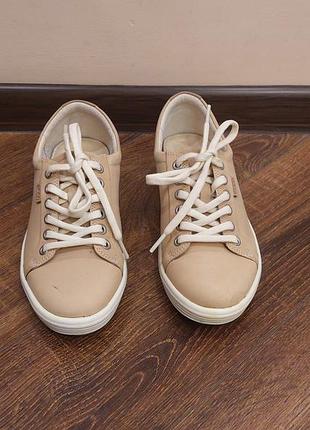 Кроссовки женские ecco soft осенние кеды 3