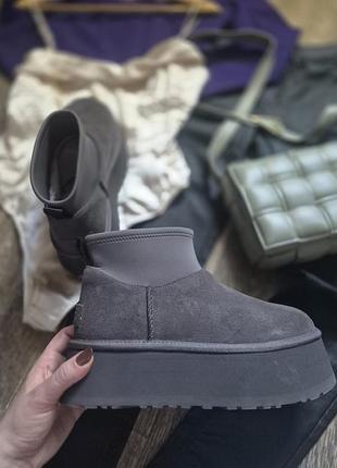 Сірі замшеві уггі жіночі натуральні ugg уггі жіночі зимові сірі натуральні оригінальні чоботи жіночі замшеві
