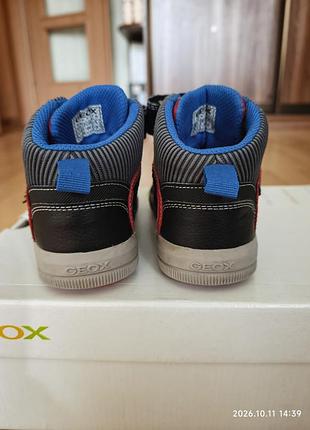 Черевики geox  30р.(19.5см.) 3