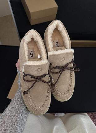 Жіночі мокасини лофери ugg з хутряною підкладкою та декоративними шнурками