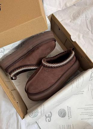 Tasman platform brown