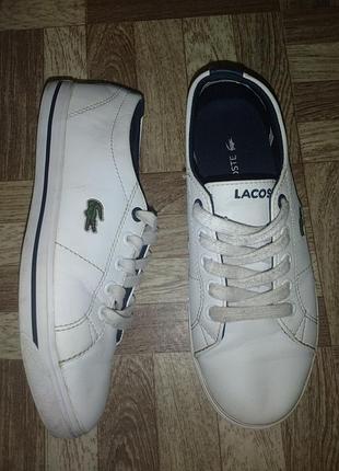 Кедды lacoste р.32