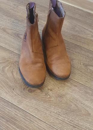 Шкіряні демісезонні черевики челсі clarks з перфорацією та фіолетовими вставками (розмір 35)