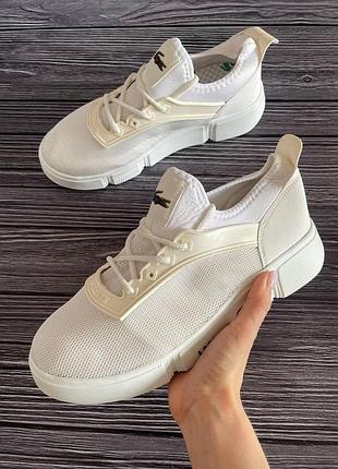 Lacoste