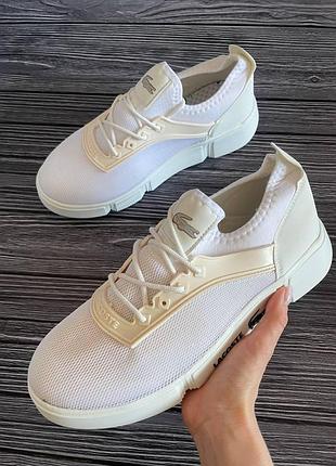 Lacoste