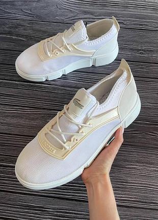 Lacoste