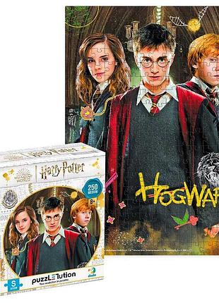 Пазл medium-s "harry potter. гаррі та друзі" 250 елементів 200498 (32) "dodo"