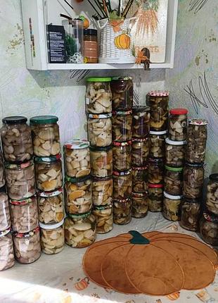 Мариновані гриби 🍄‍🟫 сушені гриби 🍄‍🟫 білі гриби 🍄‍🟫 маслюки 🍄‍🟫 польський гриб 🍄‍🟫 зморшкова шапинка 🍄‍🟫 лисички