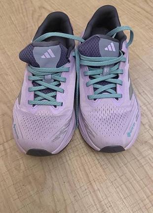 Кросівки жіночі adidas бузкові