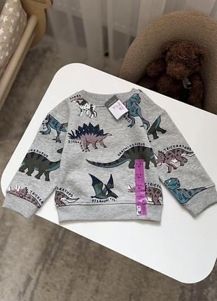 Утеплений світшот для хлопчика 🦕