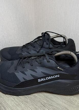 Кросівки salomon alphaglide gtx