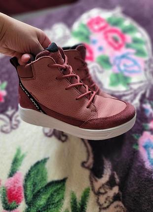 Черевики ecco urban snowboarder  33 4