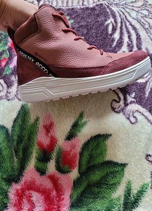 Черевики ecco urban snowboarder  33 5