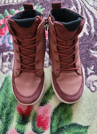 Черевики ecco urban snowboarder  33 2