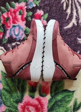 Черевики ecco urban snowboarder  33 3
