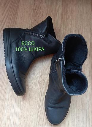 Демісезонні черевики жіночі ecco чорні шкіряні
