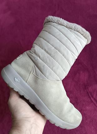 Жіночі зимові чоботи skechers