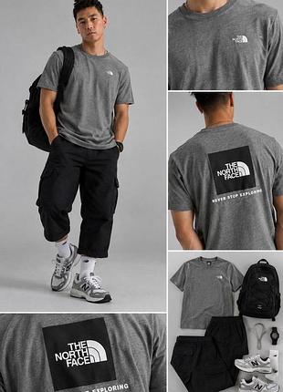 Футболка чоловіча the north face сіра з логотипом