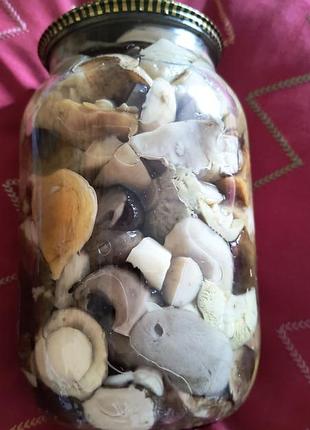 Консервированные грибы 🍄‍🟫 микс ( белые, зеленый,красноголовцы, подберезовики малыша..) 1литр