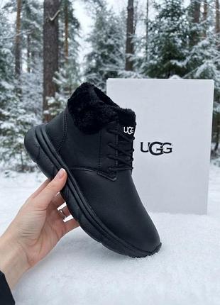 Женские зимние кроссовки ugg/черные кожаные угги