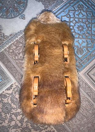 Морська свинка гупі 9