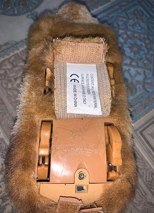Морська свинка гупі 10