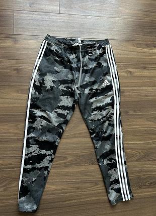 Чоловічі спортивні штани adidas climacool