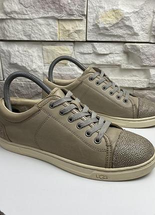 Жіночі кеди ugg taya 2