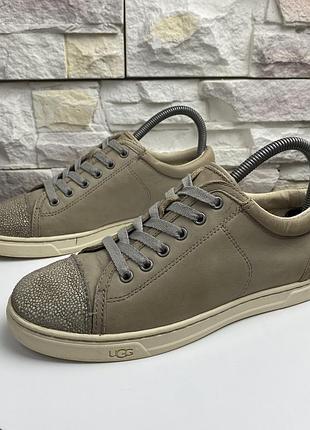 Жіночі кеди ugg taya