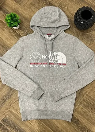 Чоловіче худі the north face