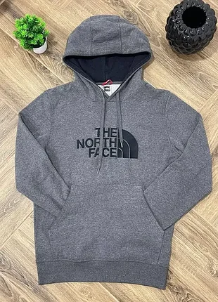 Чоловіче худі the north face
