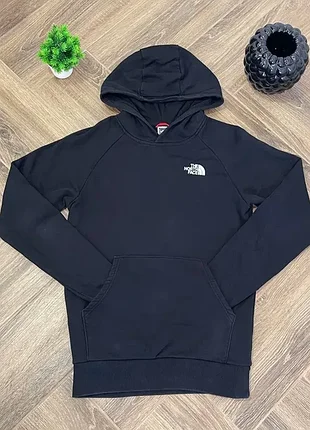 Чоловіче худі the north face