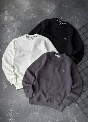 Чоловічий теплий світшот lacoste фліс 4