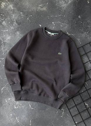 Чоловічий теплий світшот lacoste фліс