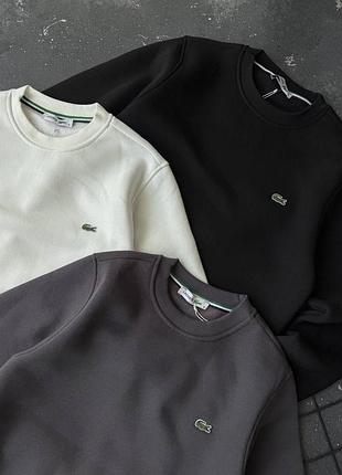 Чоловічий теплий світшот lacoste фліс 4
