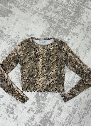 Трендовий кроп лонгслів bershka зі зміїним принтом s