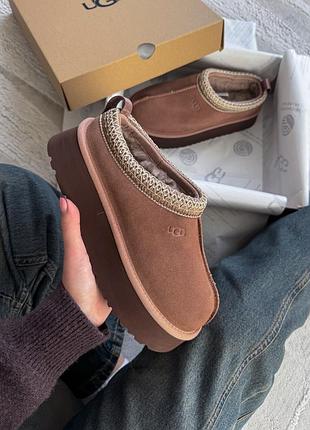 Ugg tasman platform light brown