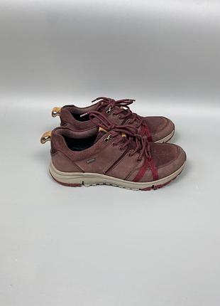 Жіночі трекінгові кросівки  clarks tri trek gore-tex в гарному стані, оригінал 38/24 см