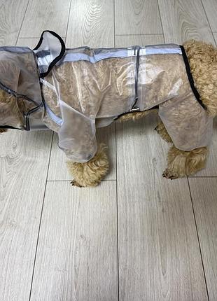 Дождевик для собак  прозрачный