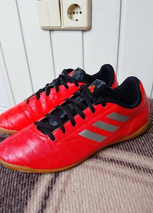 Футзалки дитячі adidas conquisto ii in aq4329, р38, 23,5см, оригінал