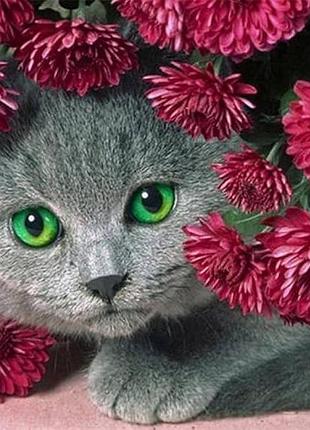 Алмазная мозаика вышивка на подрамнике 5d серый котенок в бордовых хризантемах кот с зелеными глазами 30х40 см h8386
