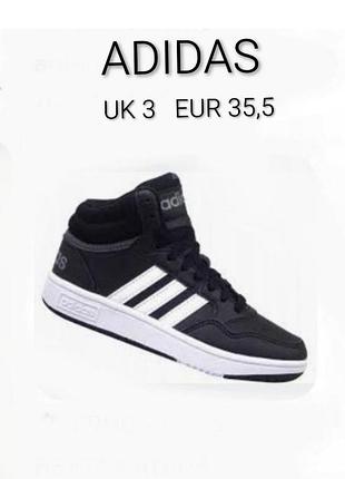 Підліткові круті хайтопи високі кросівки  adidas hoops 3,0  classic mid  uk 3  eur  35,5