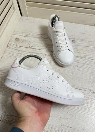 Кросівки adidas advantage