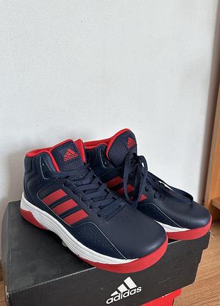 Adidas cloudfoam кросівки оригінальні