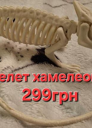 Скелет хамелеона игрушка