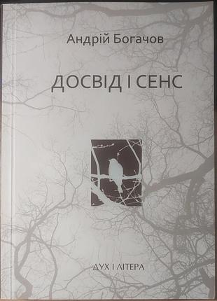 Андрій богачов — «досвід і сенс», 2011, київ: «дух і літера»