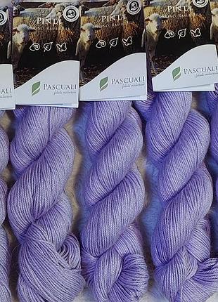 Меринос pascuali pinta